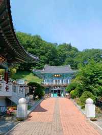 바다 같은 낙동강 풍경을 품은 산사
