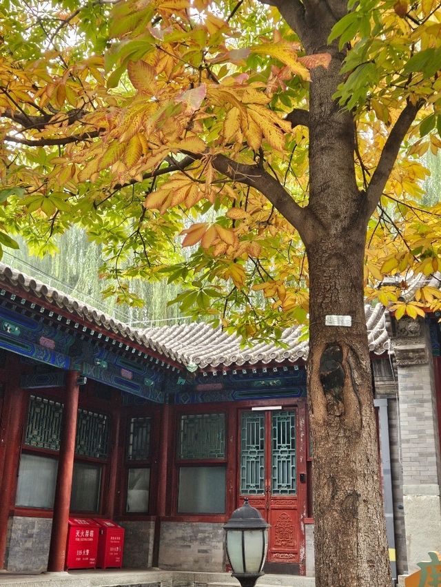 讓人驚豔與極盡奢華的‘‘恭王府’’