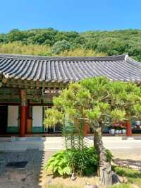숲속의 고즈넉한 천년고찰 🕊️
