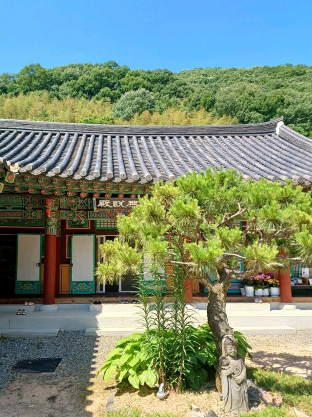 숲속의 고즈넉한 천년고찰 🕊️