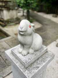 京都岡崎神社｜兔兔守護神社超可愛必拍！