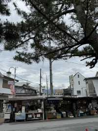 【奈良🇯🇵】大神神社の参道で流し素麺を🌻