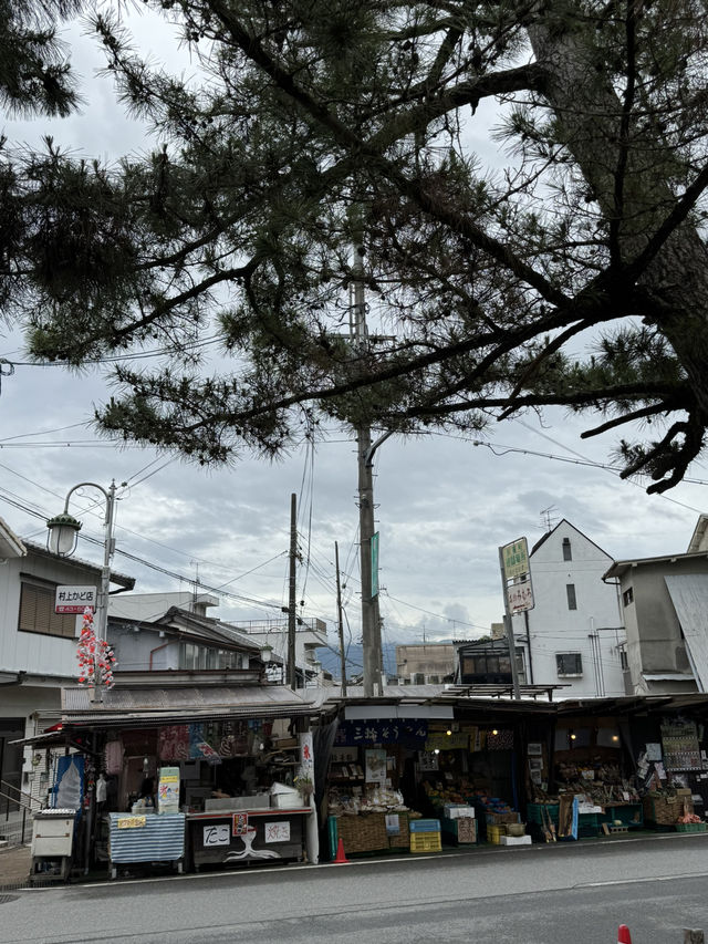 【奈良🇯🇵】大神神社の参道で流し素麺を🌻