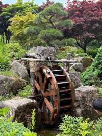 Wandering Around Achimgogyo Arboretum