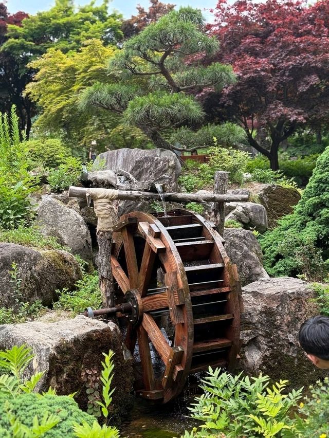 Wandering Around Achimgogyo Arboretum