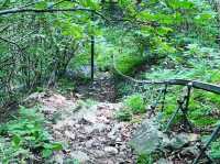 Hike with Big Peace in Cheorwon