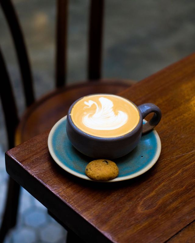 Sunlit Spaces and Chill Vibes at Lucky Cat Coffee & Kitchen