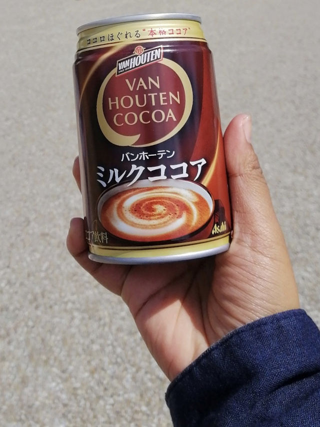 6 Days, 6 Cities, and One Pair of Tired Feet: My Japan Journey