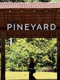 A Cool Escape: From KL Heat to Pineyard Breeze