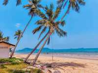 หาดทรายรีสวี: เสน่ห์เรียบง่าย 🏝️