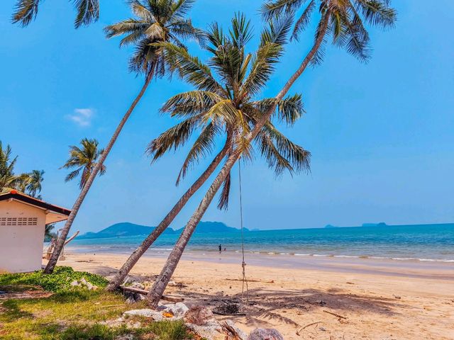 หาดทรายรีสวี: เสน่ห์เรียบง่าย 🏝️
