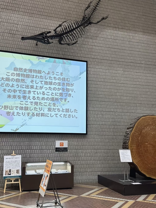 A Deep Exploration of Nature – My Visit to the Osaka Museum of Natural History 🦕