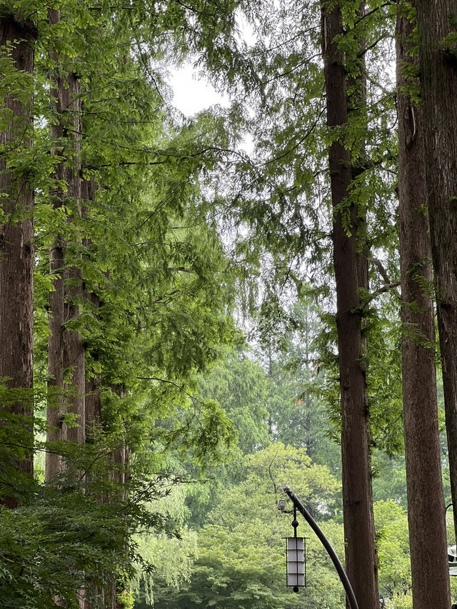 1 day is all you need to explore here… 😱