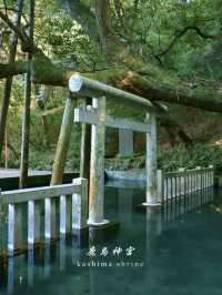 🦌【茨城・鹿嶋市 鹿島神宮】勝負運アップ＆旅立ちにおすすめの “関東最強パワースポット” 