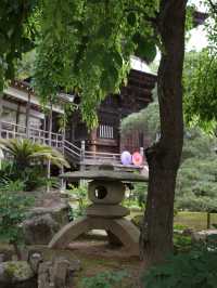 🙏【茨城・桜川市 雨引観音（雨引山楽法寺）】紫陽花に包まれるパワースポットで癒しとご利益の旅 