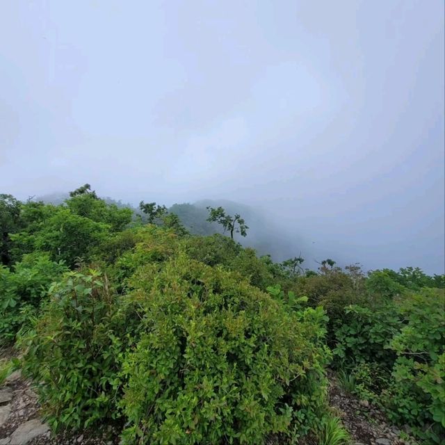 Hike with Peaceful Vibes