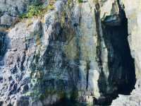 Odong Island: A Serene Coastal Escape Just Steps from Yeosu