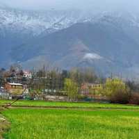 Phases of Kashmir