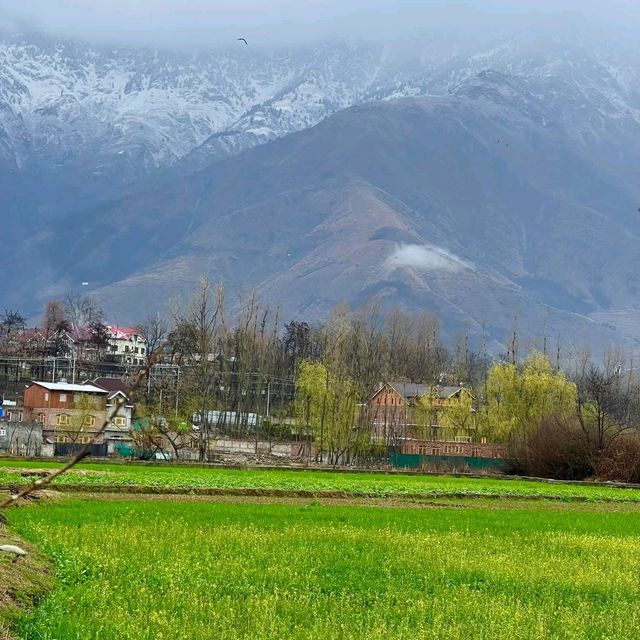 Phases of Kashmir