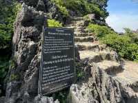 🐉 Climbing the Lying Dragon: A View Worth Every Step in Ninh Bình