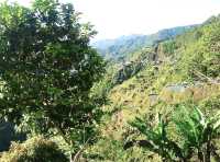 The mystifying wonder of Banaue Rice terraces