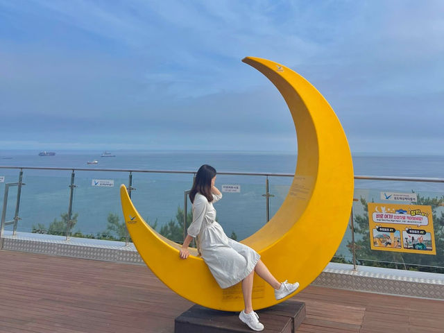부산 송도 바다 + 공룡볼 수 있는 코스 🌊🦖