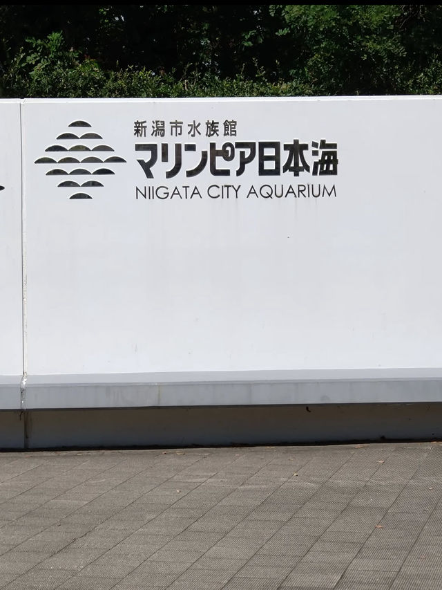 新潟市にある「マリンピア日本海」は、日本海側最大級の水族館