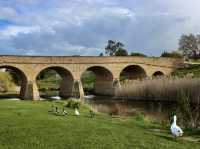 Where ducks wander and sandstone remembers: the slow beauty of Richmond Bridge
