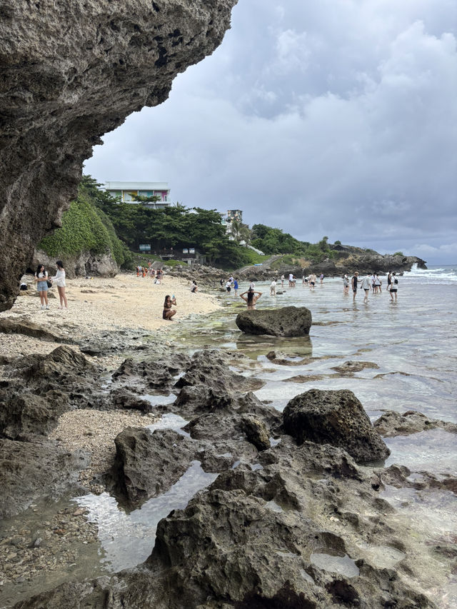 🏖️ 美人沙灘奇遇記：與海龜共舞的秘境之旅