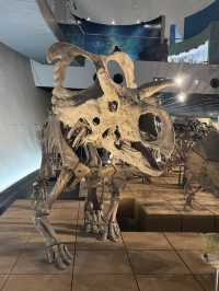 【福井県立恐竜博物館で太古の世界へ】子どもも大人も夢中になる恐竜旅🦖🌍