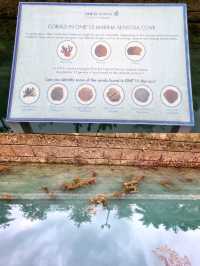 🇸🇬 Waterfront Walks and Architectural Wonders at Sentosa Cove