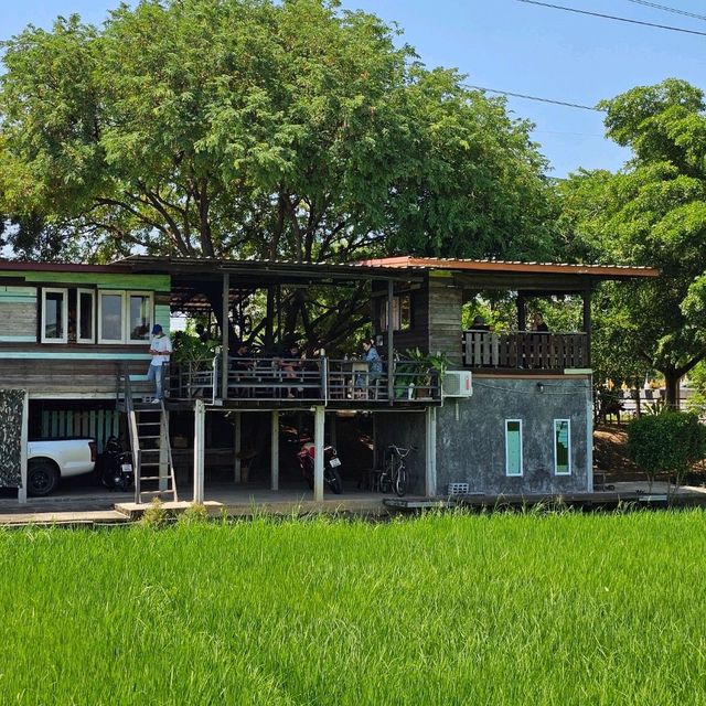 🍀นั่งชิล ชมทุ่งนา ที่ มะขามคาเฟ่ | อ่างทอง 🌿