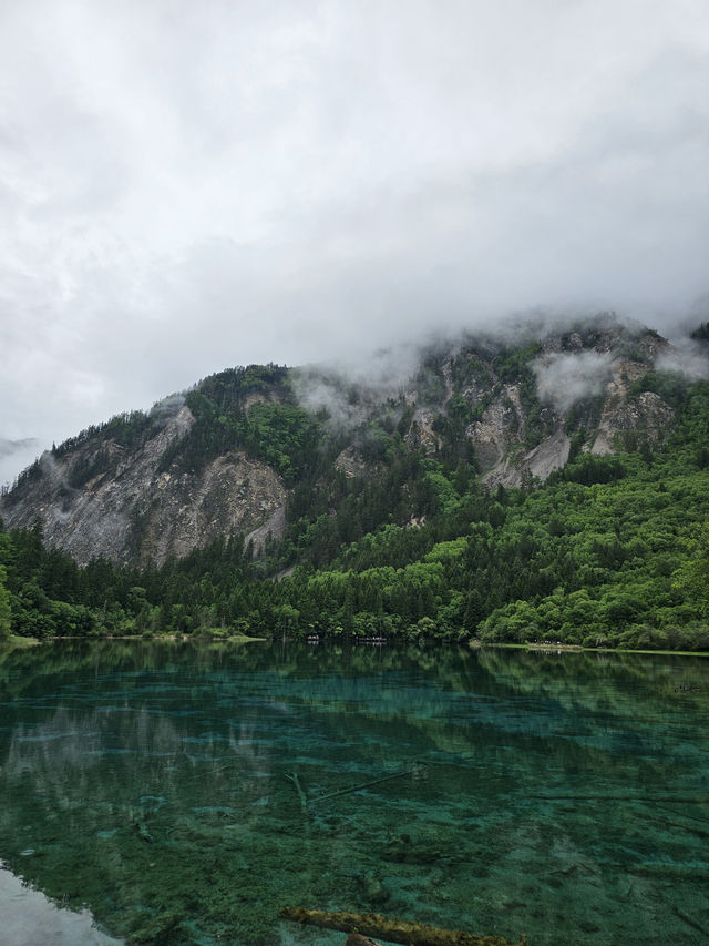 Ultimate Jiuzhaigou Valley Guide: China's Most Breathtaking UNESCO Paradise