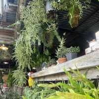 ร้านสี่แยกหัวตะเข้คาเฟ่แอนด์เกสต์เฮ้าส์ 