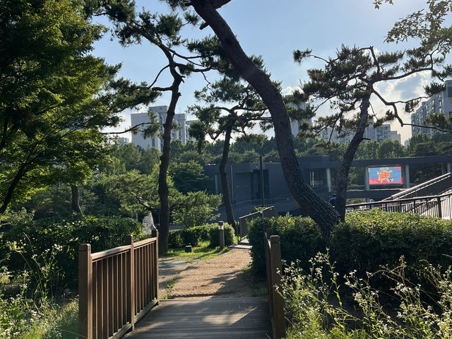 강동 아트센터와 둘레길 걷기 여행