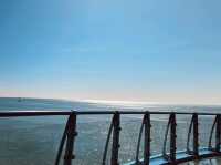 Cheongsapo Daritdol Observatory, Busan: A Thrilling Walk Over the Waves