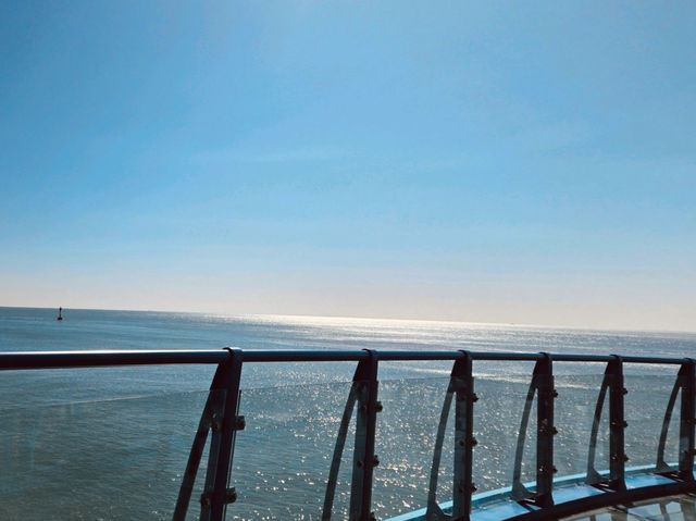 Cheongsapo Daritdol Observatory, Busan: A Thrilling Walk Over the Waves
