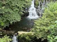 草山觀瀑吊橋。猴崁圳古道