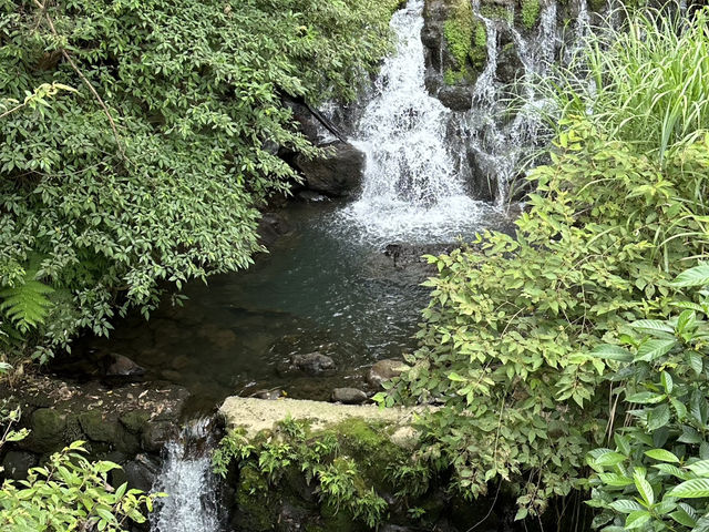 草山觀瀑吊橋。猴崁圳古道