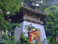 Kamakura & Enoshima: My Full-Day Power Walk! 🇯🇵🚶‍♀️