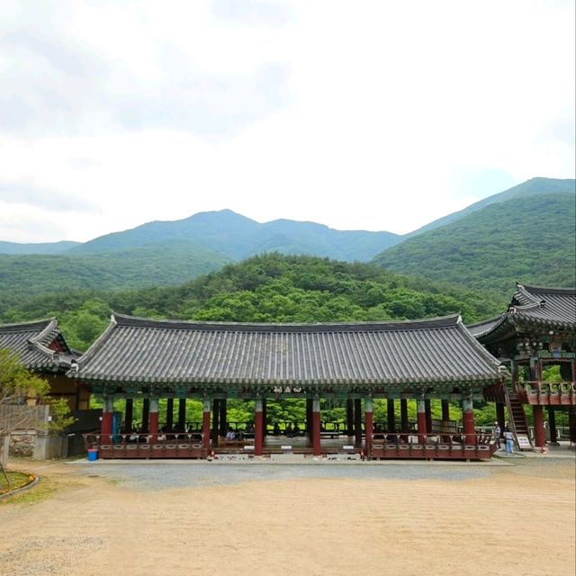 History, Nature & Zen Vibes at Pyochungsa Temple