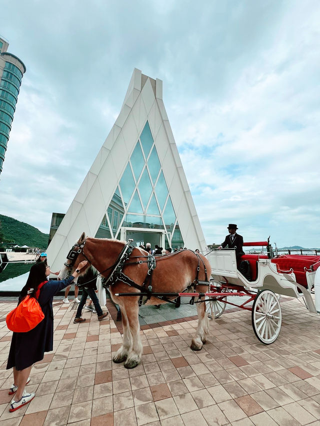 愉景灣海景教堂⛪️打卡靚景📸