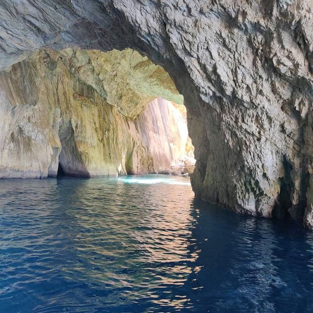 Paxos & Antipaxos