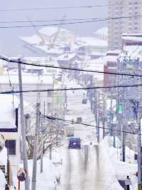 冬季記得來北海道看粉雪❄️ 