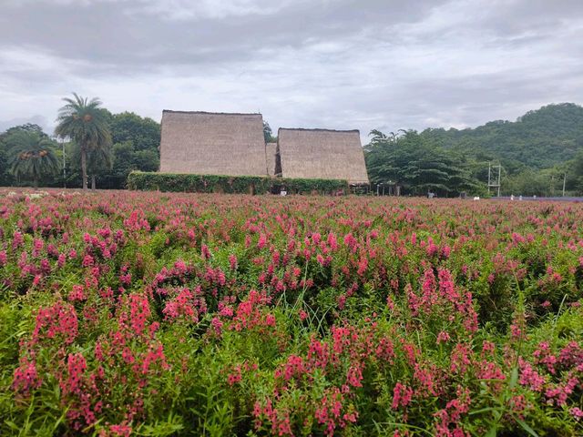 Khao Yai is the place to go when you have European taste but Bangkok budget 😉