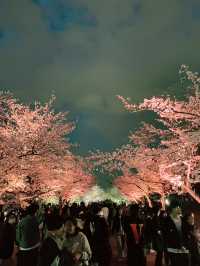 【大阪】万博記念公園