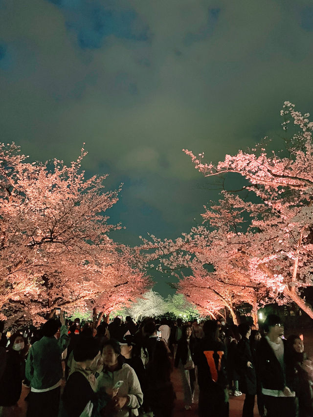 【大阪】万博記念公園
