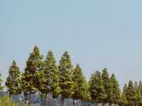 Daebu Bada Hyanggi Theme Park, Gyeonggi Province: A Vast Coastal Oasis for Relaxation and Recreation