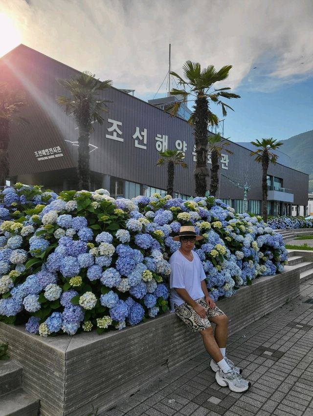 지금 당장 수국사냥 떠나야할 거제도 여행지