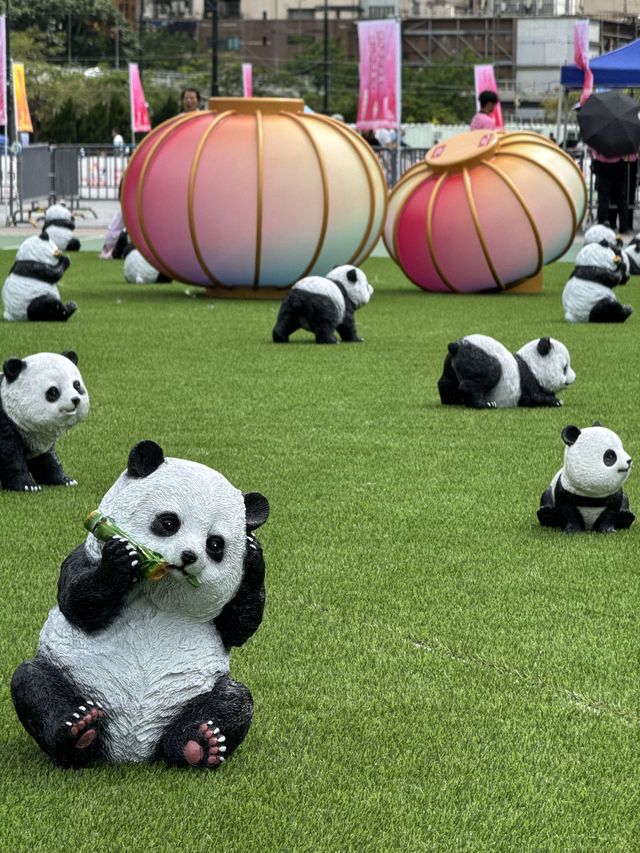 香港｜維多利亞公園｜香港城市綠洲的深度遊